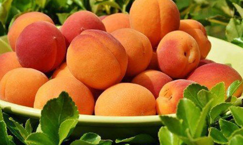 无本创业借鸡生蛋,一种巧妙的商业模式分析 无本创业借鸡生蛋,一种巧妙的商业模式分析